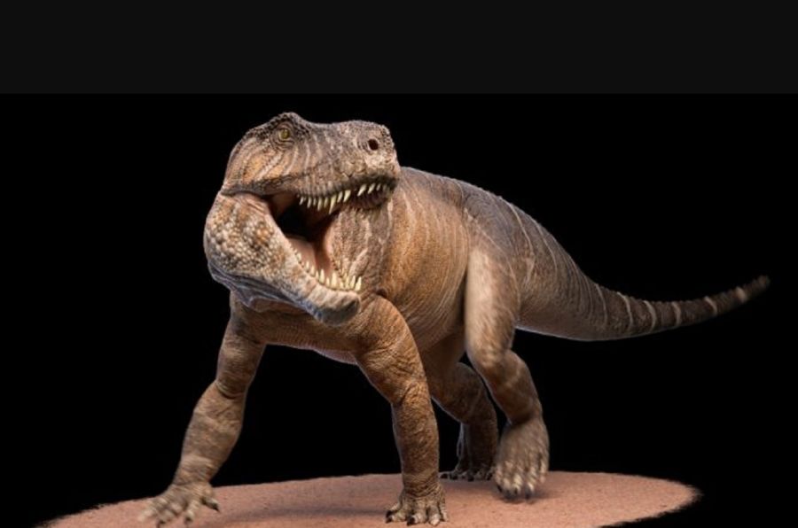 0906_DINOSAURIO