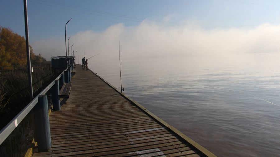 0906_guazu