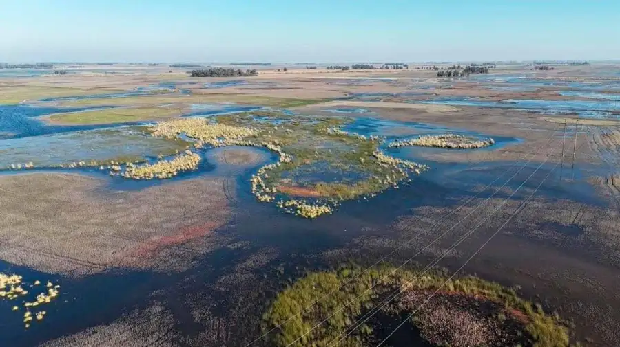El Niño en la Argentina 09062026