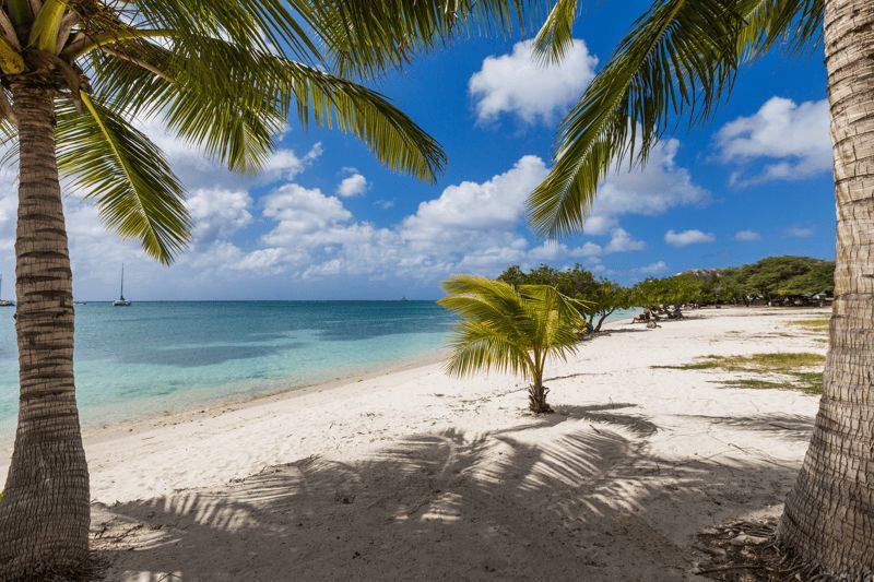 0610_aruba