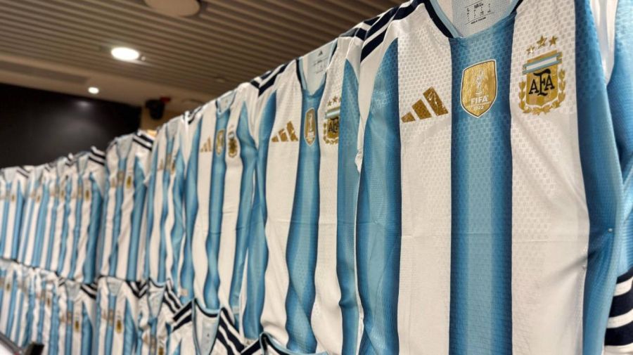 Camiseta selección Argentina 11062026