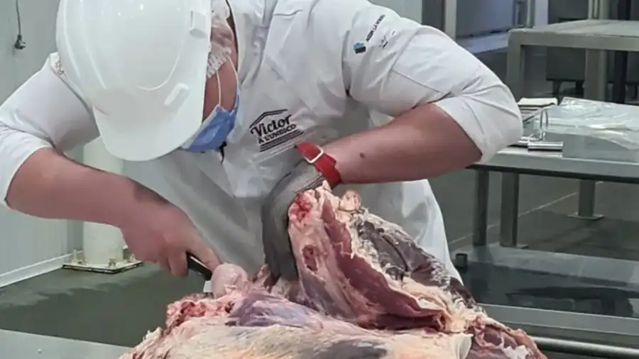 Carne vacuna
