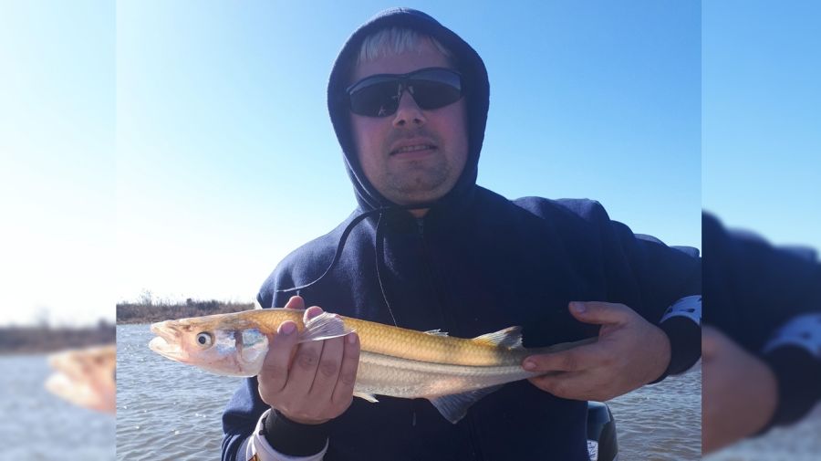 1206_mapa_pique_pesca