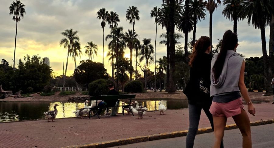 Bares en parques