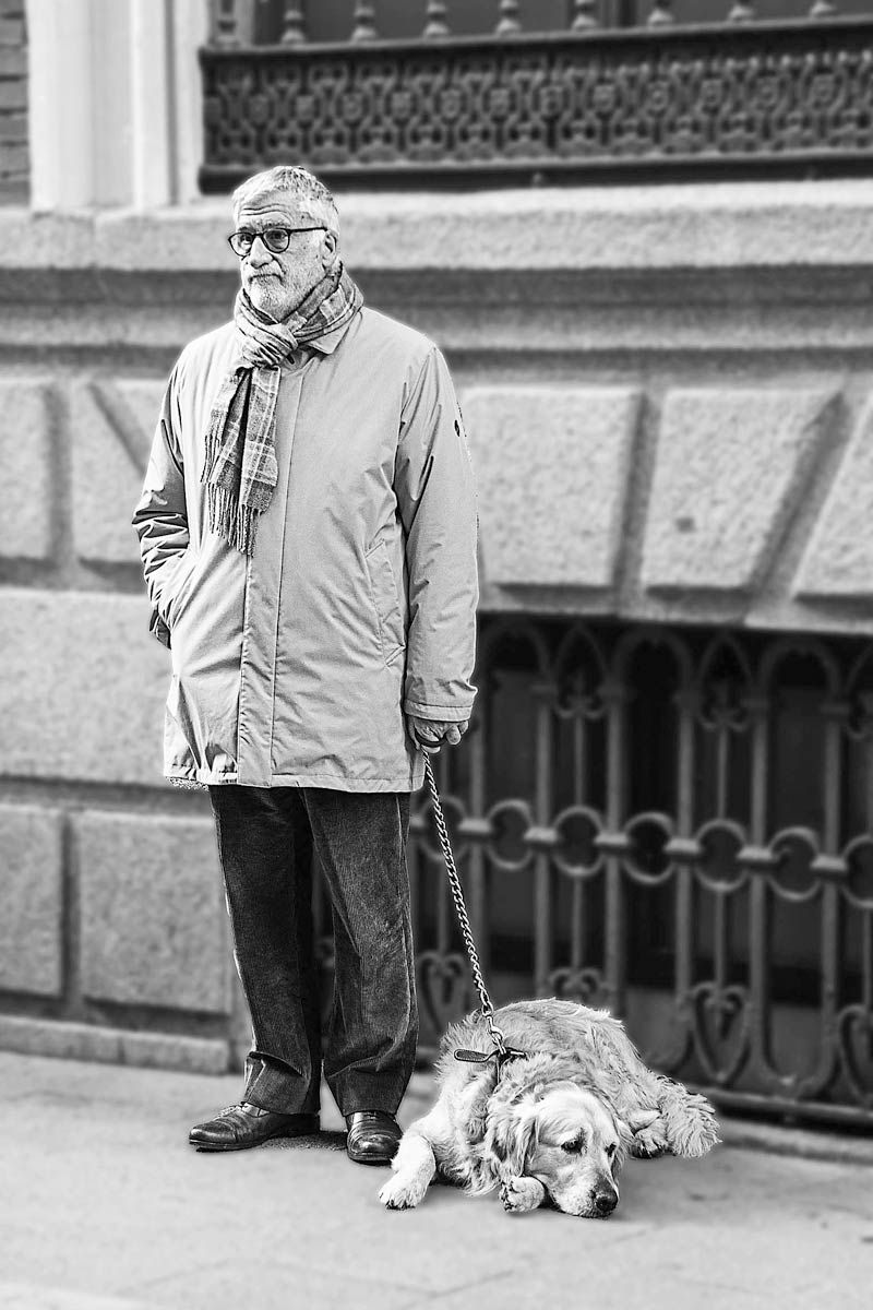 Perro