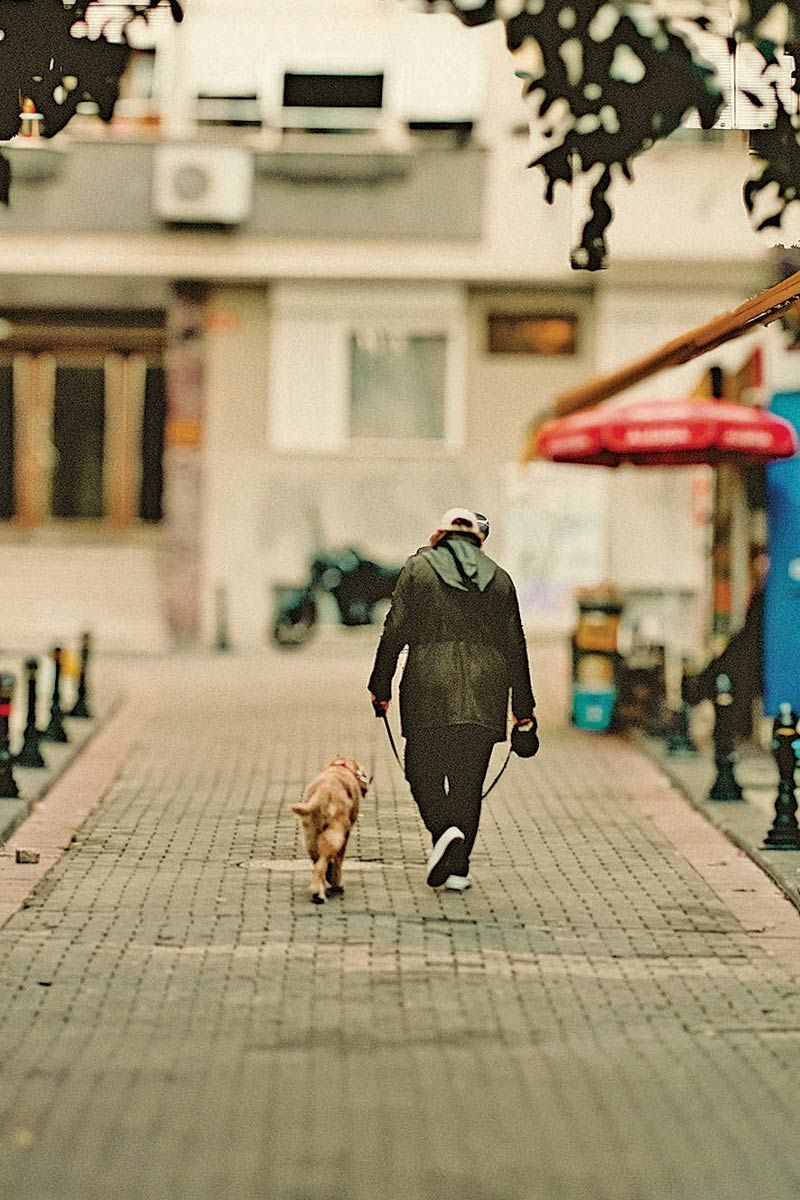 Perro