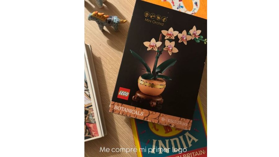Anita lego