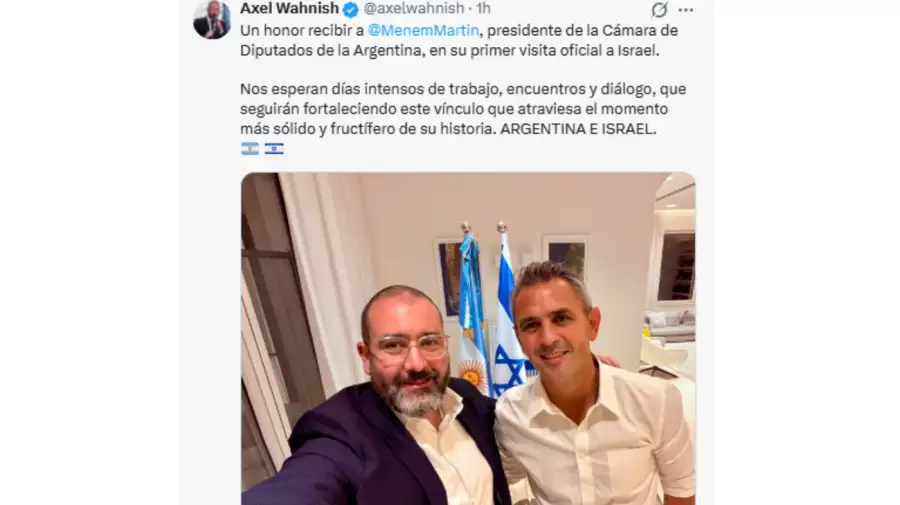 Axel Wahnish y Martín Menem