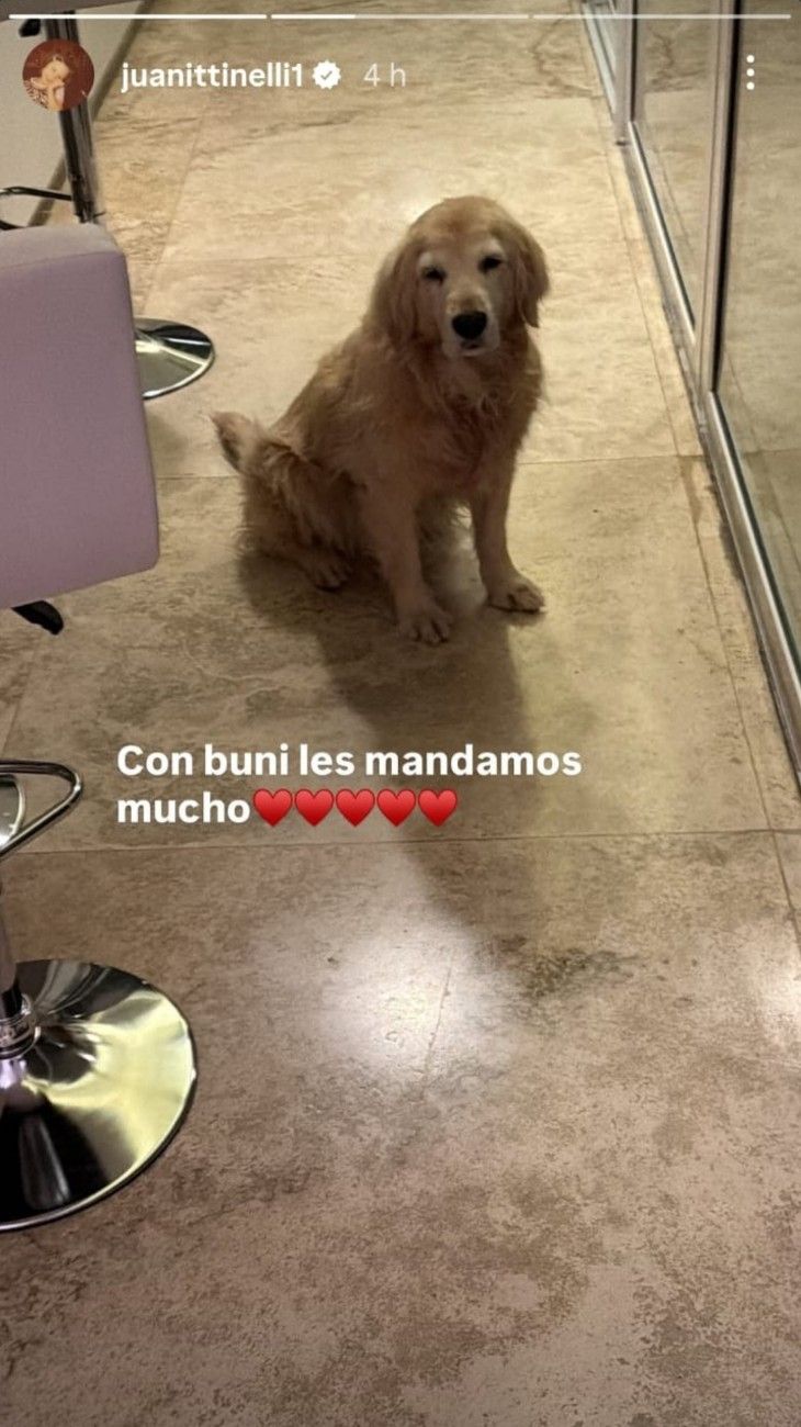 El descargo de Juanita Tinelli