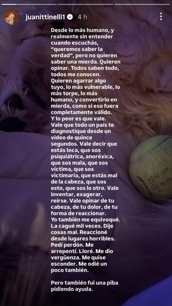 El descargo de Juanita Tinelli