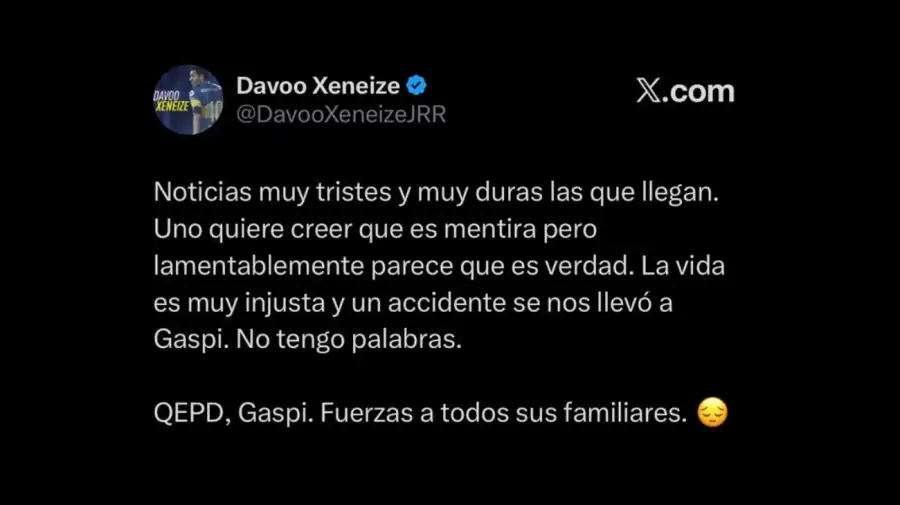 Gaspi despedida
