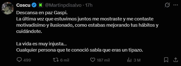 De Mario Pergolini a Juli Savioli y Marcelo Tinelli, los mensajes de famosos para despedir a Gaspi tras su trágica muerte