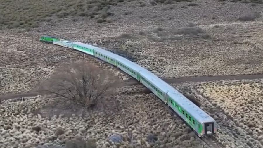 1606_tren patagónico