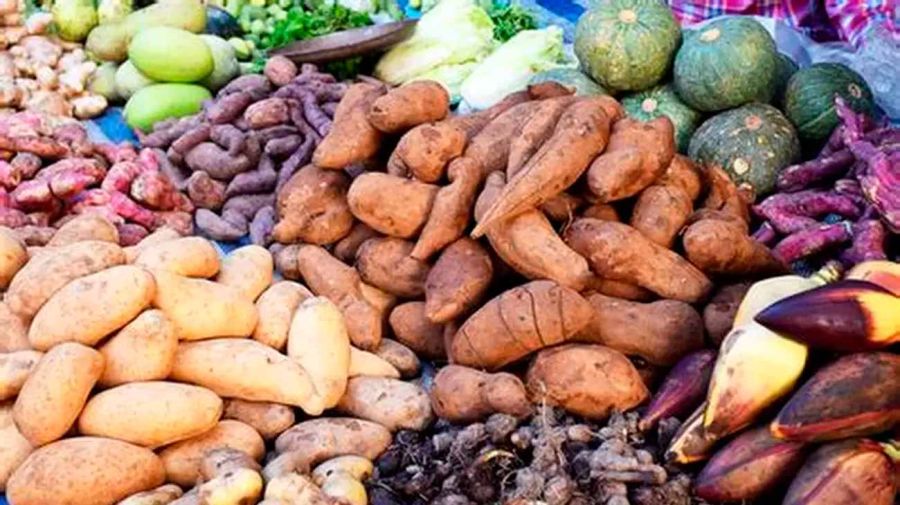 Alimentos nativos de la biodiversidad argentina