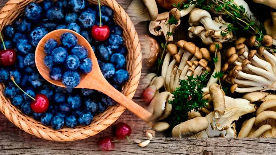 Alimentos nativos de la biodiversidad argentina