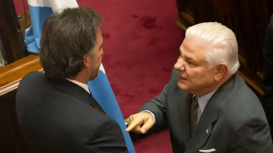 El senador oficialista Agustín Monteverde