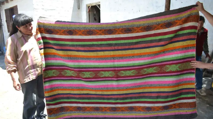 La Pampa Teje