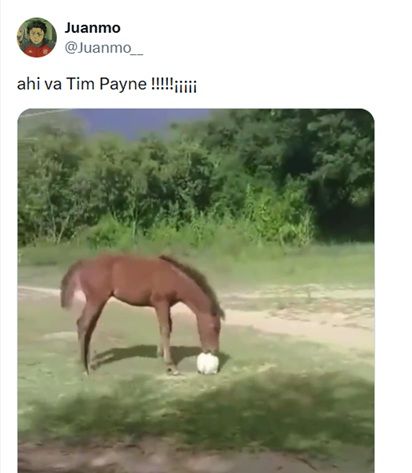Memes Tim Payne x Irã