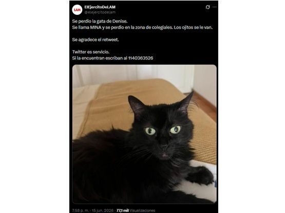 Se perdió la gatita de Denise Dumas