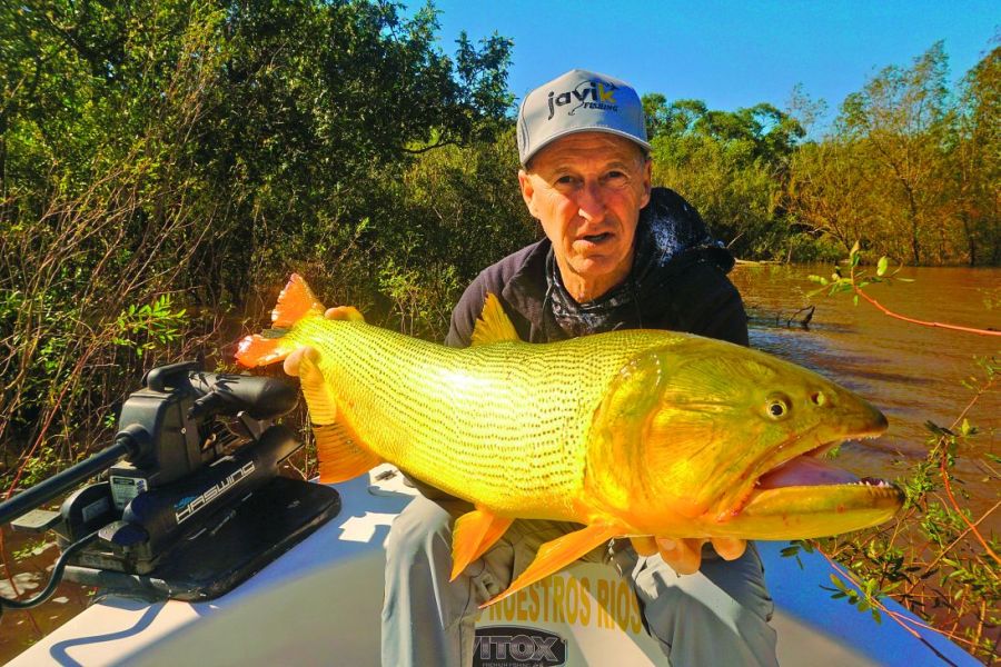 0617_dorados