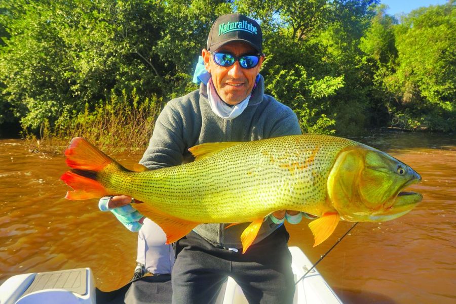 0617_dorados