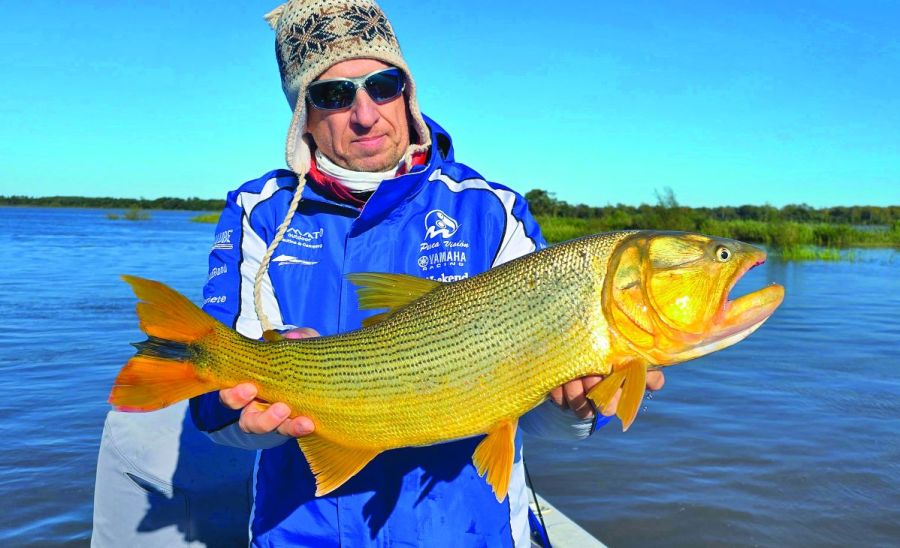 0617_dorados