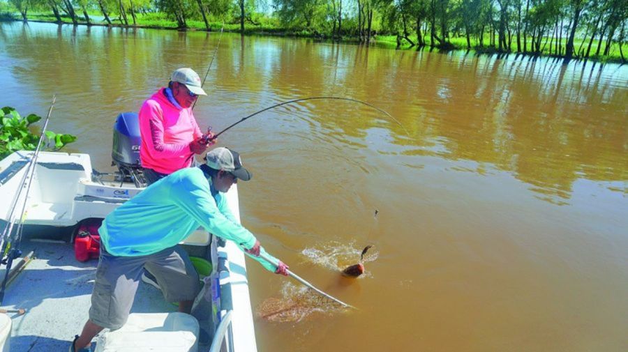 2306_entrerios