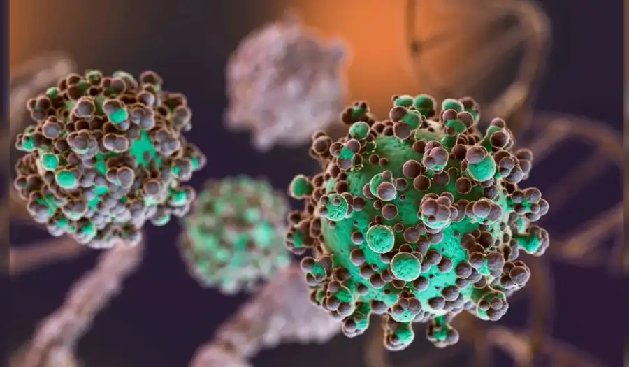 hantavirus