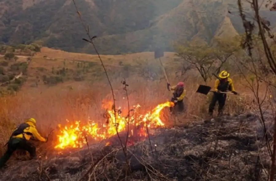 2406_incendio cafayate