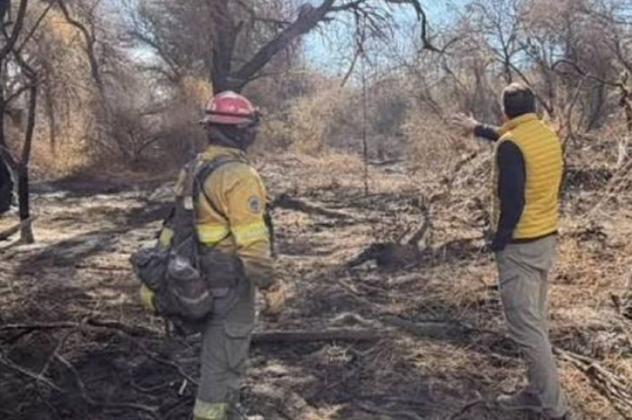 2406_incendios cafayate