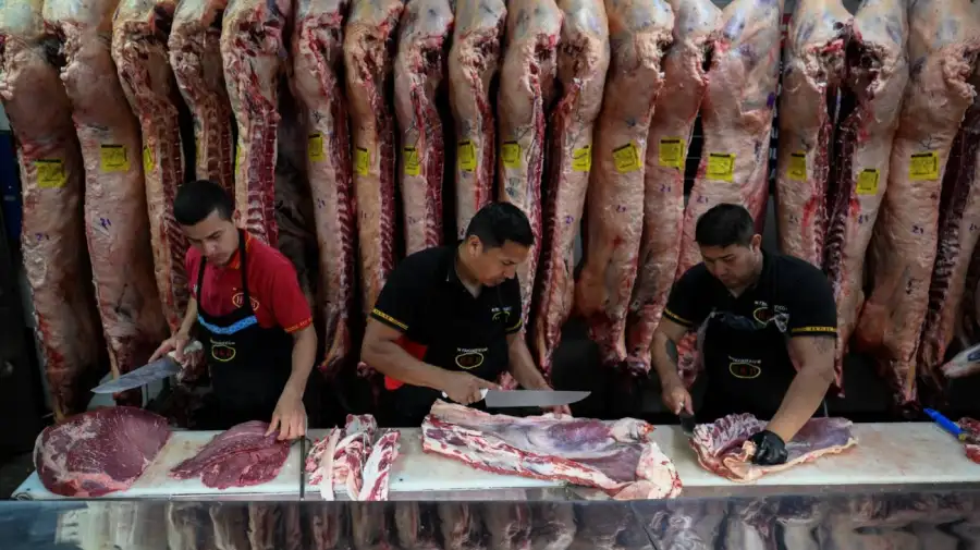 Frigorífico - Carne 24062026