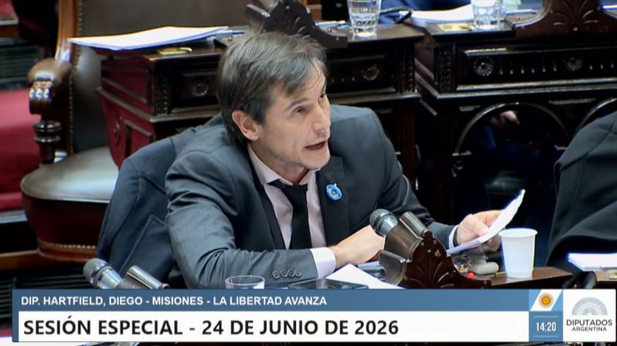 Sesión especial Diputados 24/06