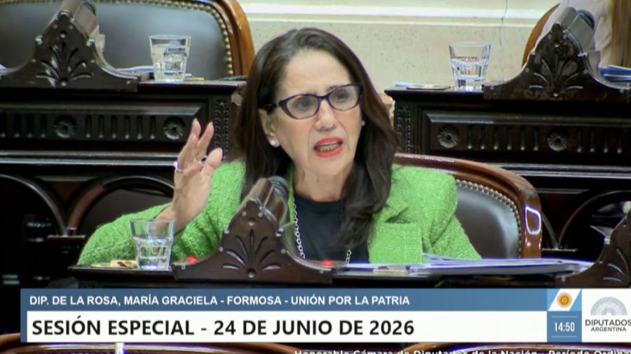 Sesión especial Diputados 24/06