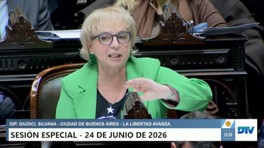 Sesión especial Diputados 24/06