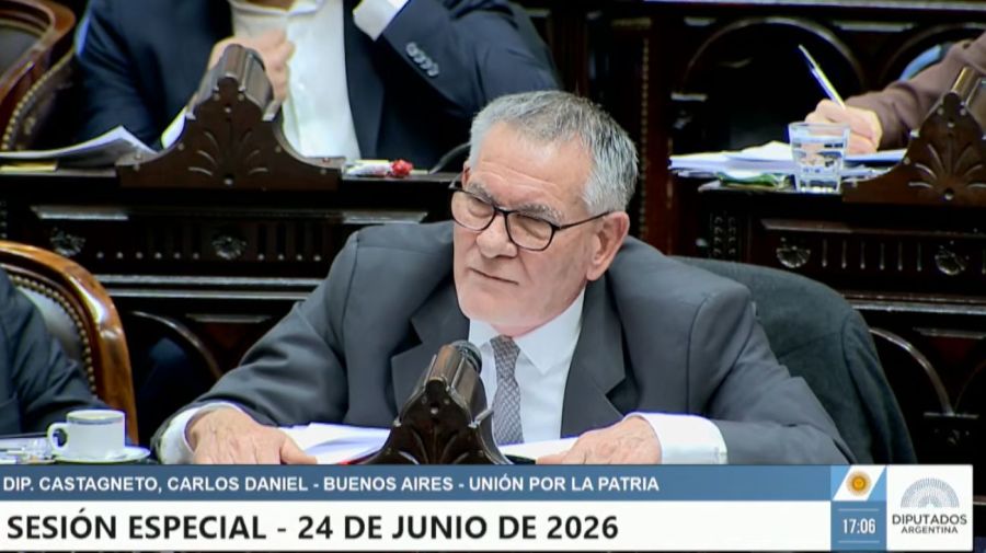 Sesión especial Diputados 24/06