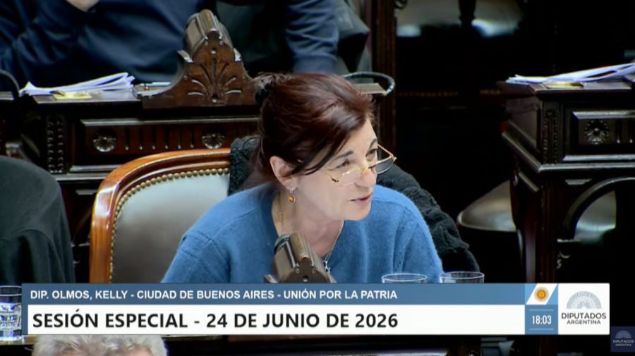 Sesión especial Diputados 24/06