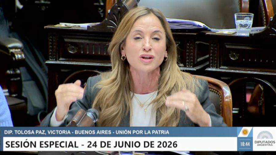 Sesión especial Diputados 24/06
