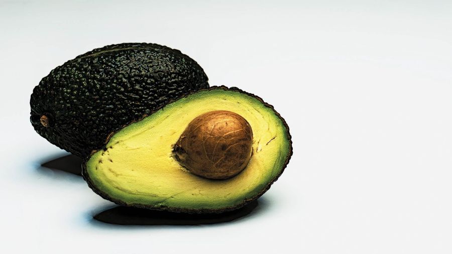 Palta