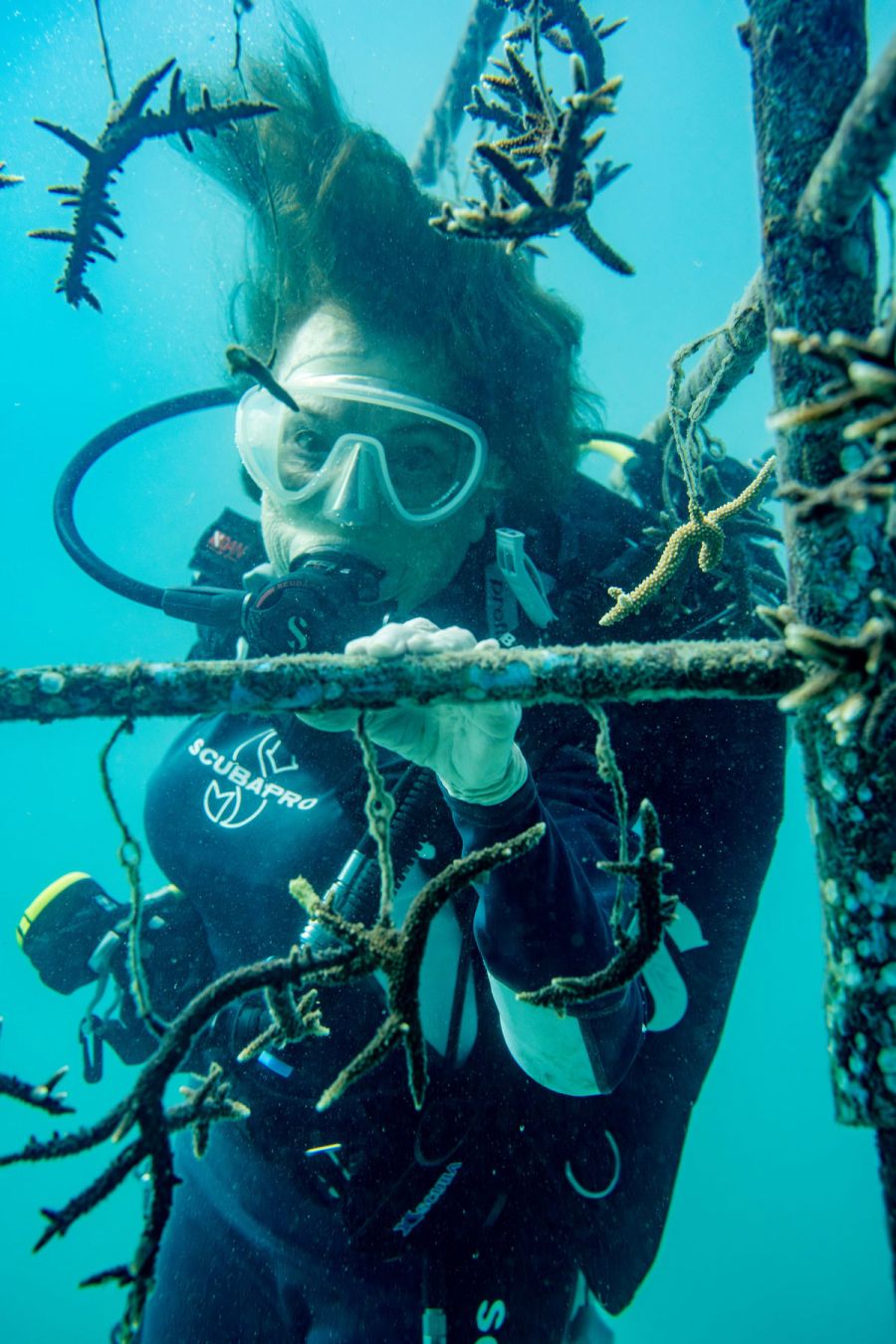 Sylvia Earle