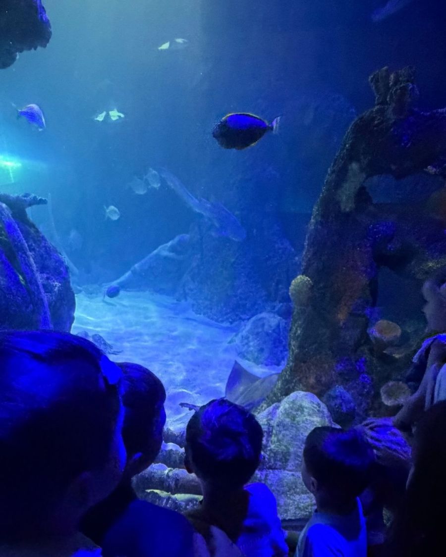 Ailén Cova mostró su tarde en un acuario en Dallas