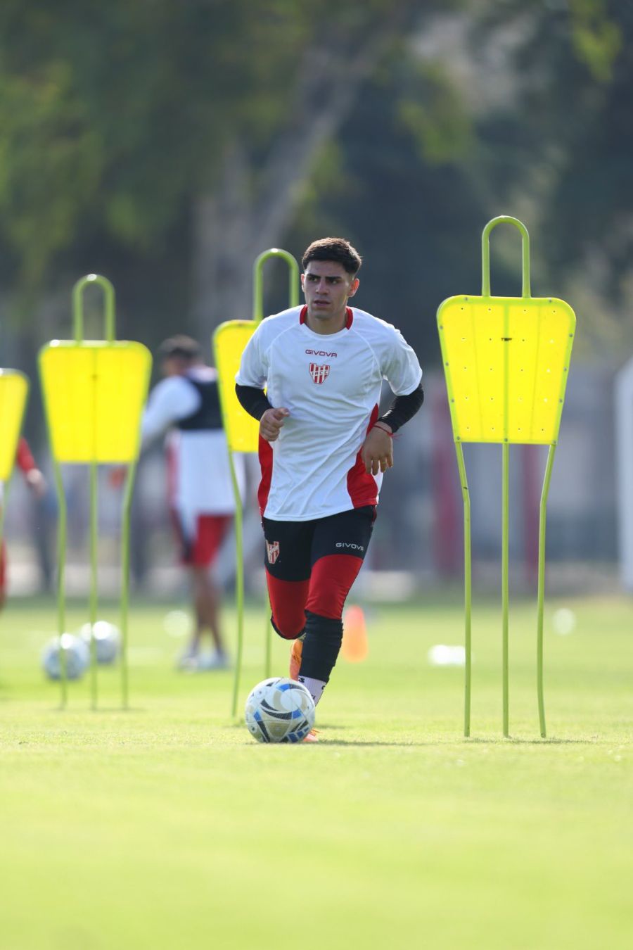 Alex Luna