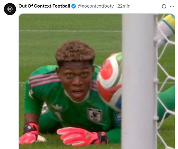 Los memes de Brasil vs Japón 