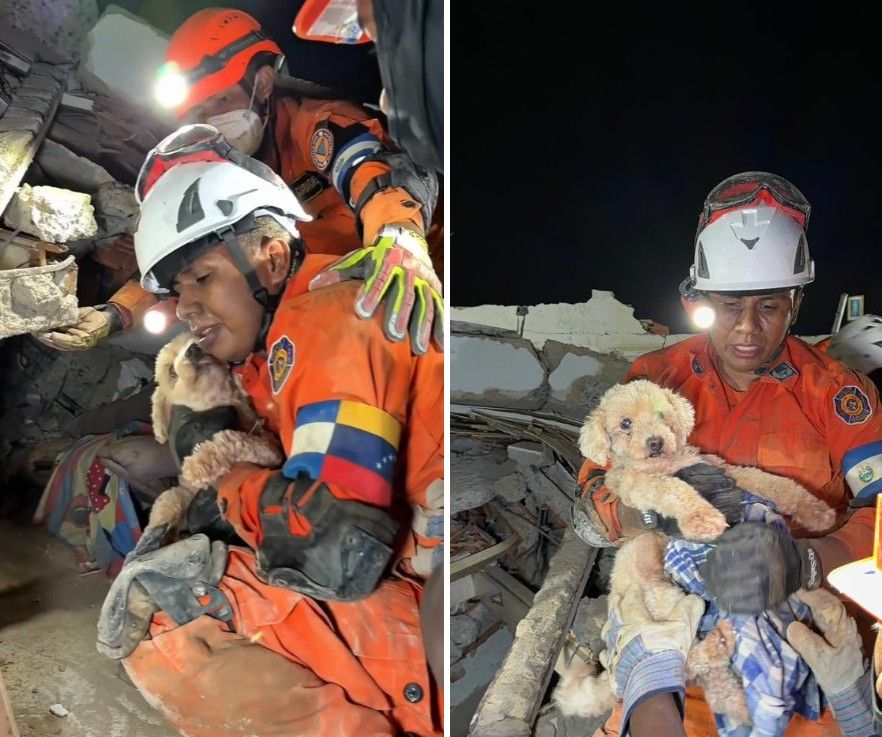 Rescatista salvadoreño rescata a la perrita Giselle entre los escombros en Venezuela (2)