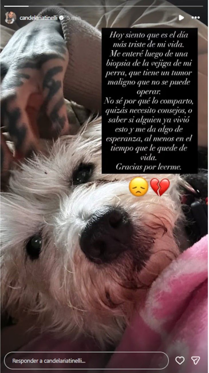 Cande Tinelli por su perrita