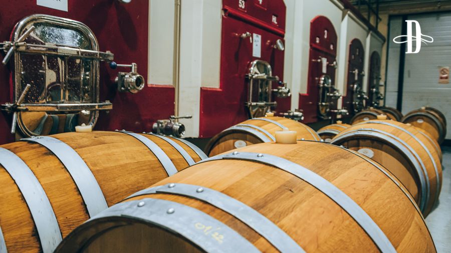 Bodega Mauricio Lorca en Delirio