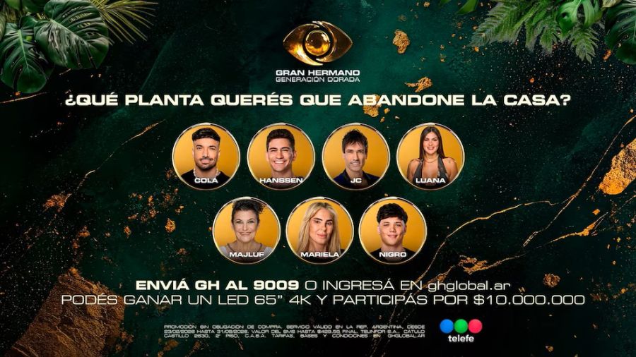 Gran Hermano
