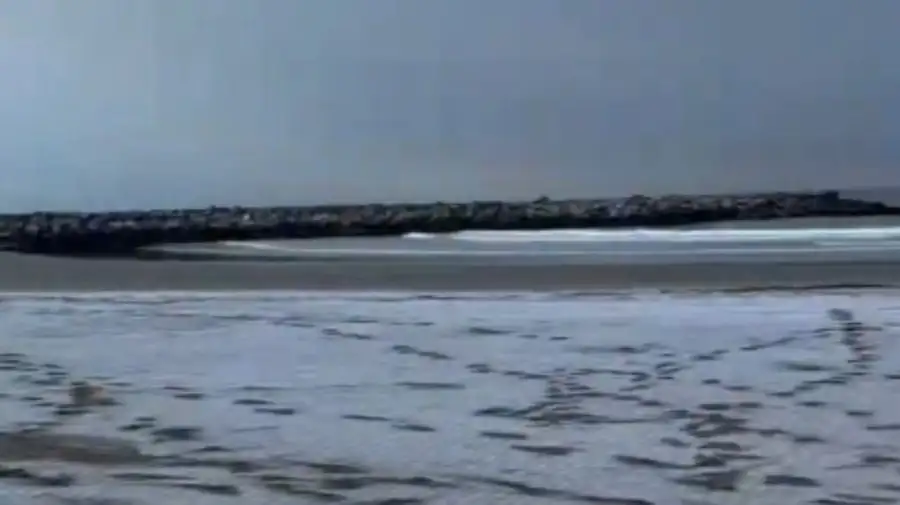 Nevada en Mar del Plata 02072026