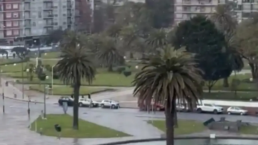 Nevada en Mar del Plata 02072026