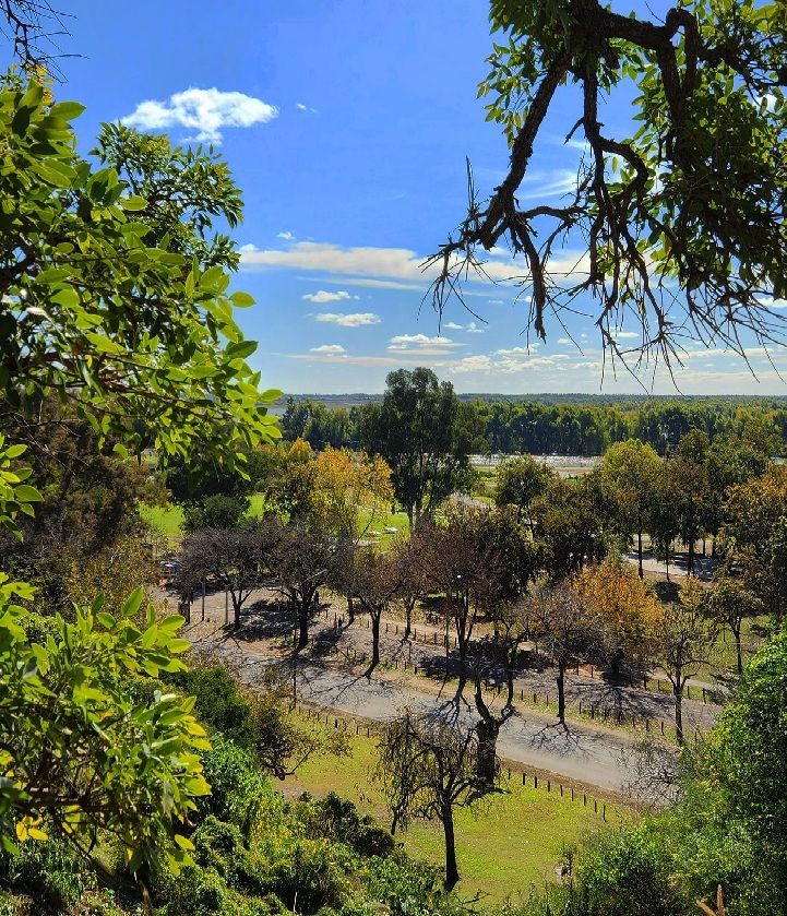 San Pedro