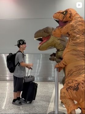 Momo y los dinosaurios